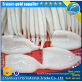 frozen squid tube U7,U5,U10 %20 glazing